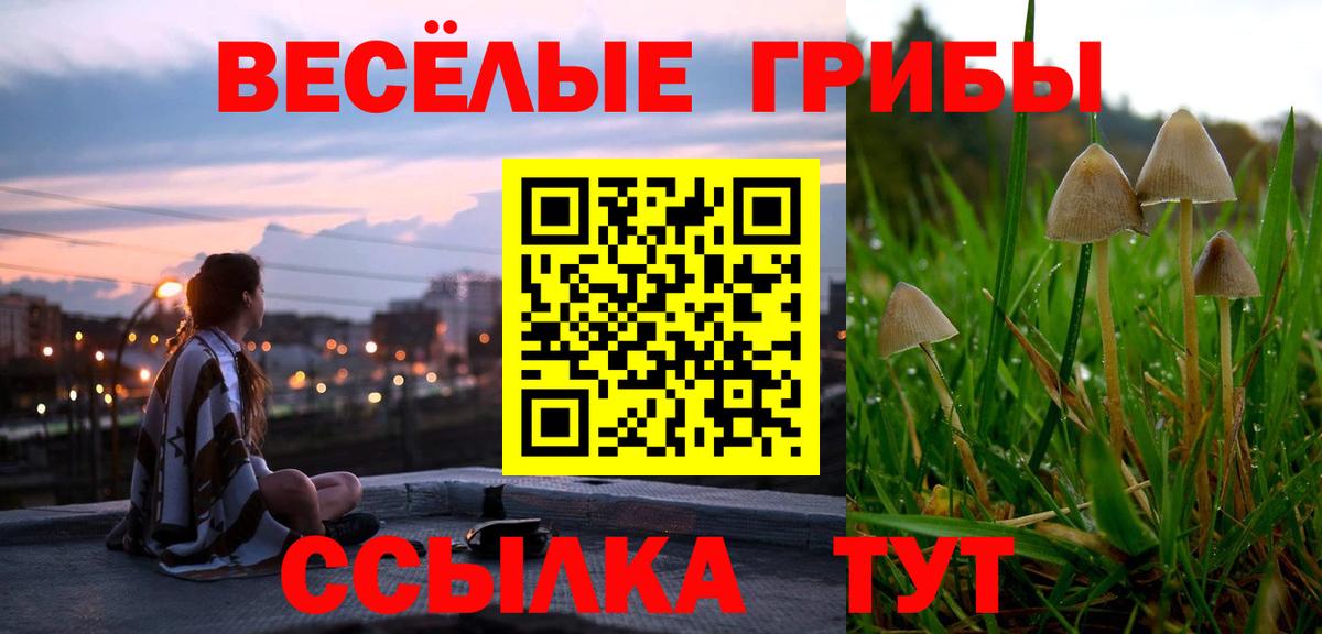 Псилоцибиновые грибы GOLDEN TEACHER Углич